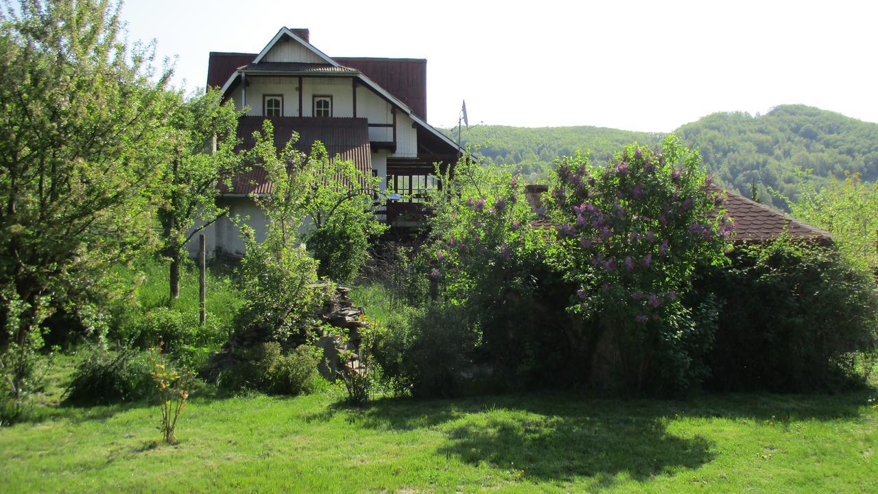 Cabana Poiana Galdei 외부 사진